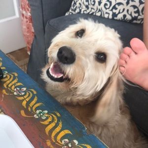 Meet your Posher, Brooke